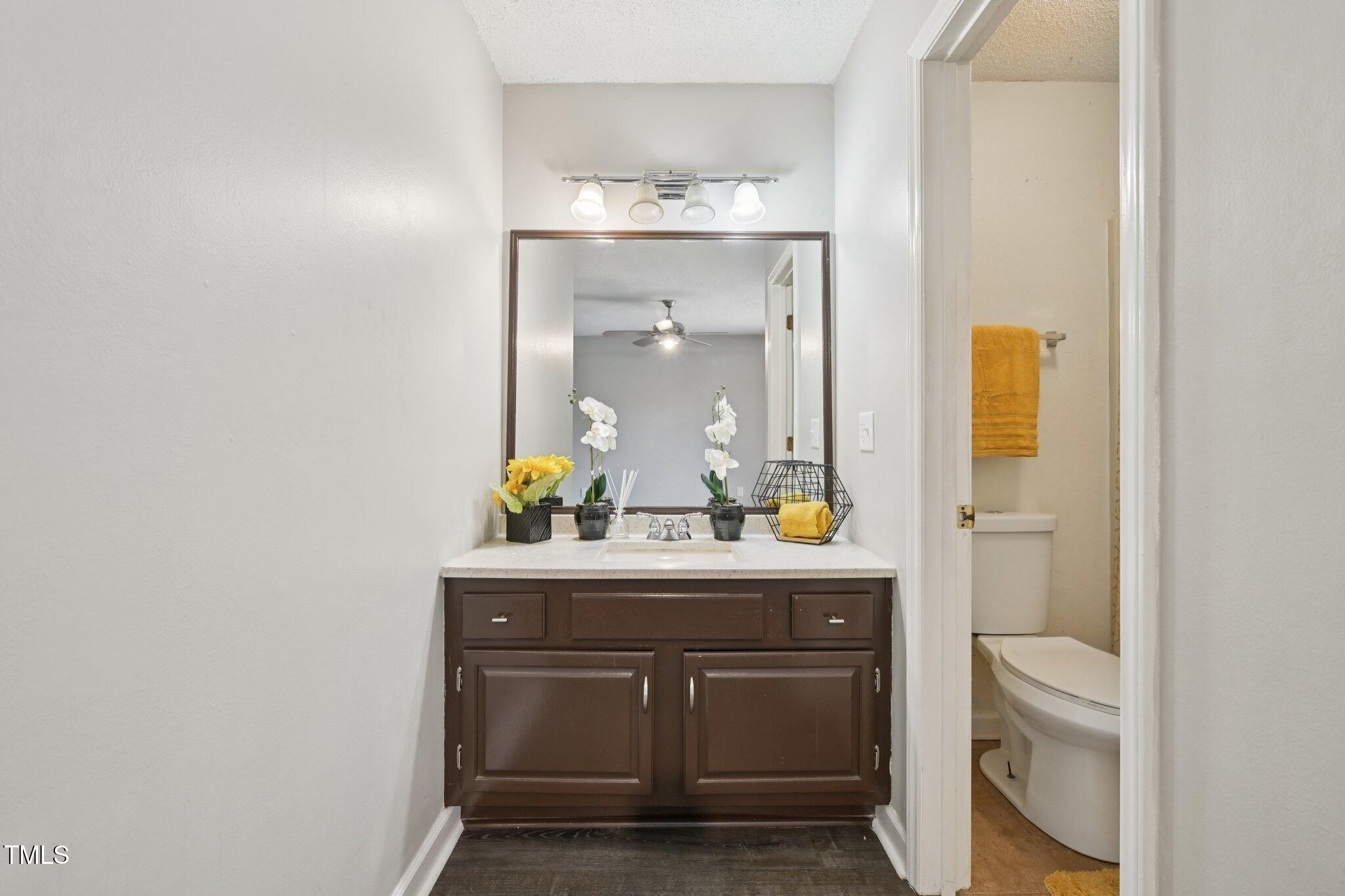 3534 Rawdon Drive Durham, NC 27713 - Photo 30 of 43 a bathroom with a sink a toilet and mirror