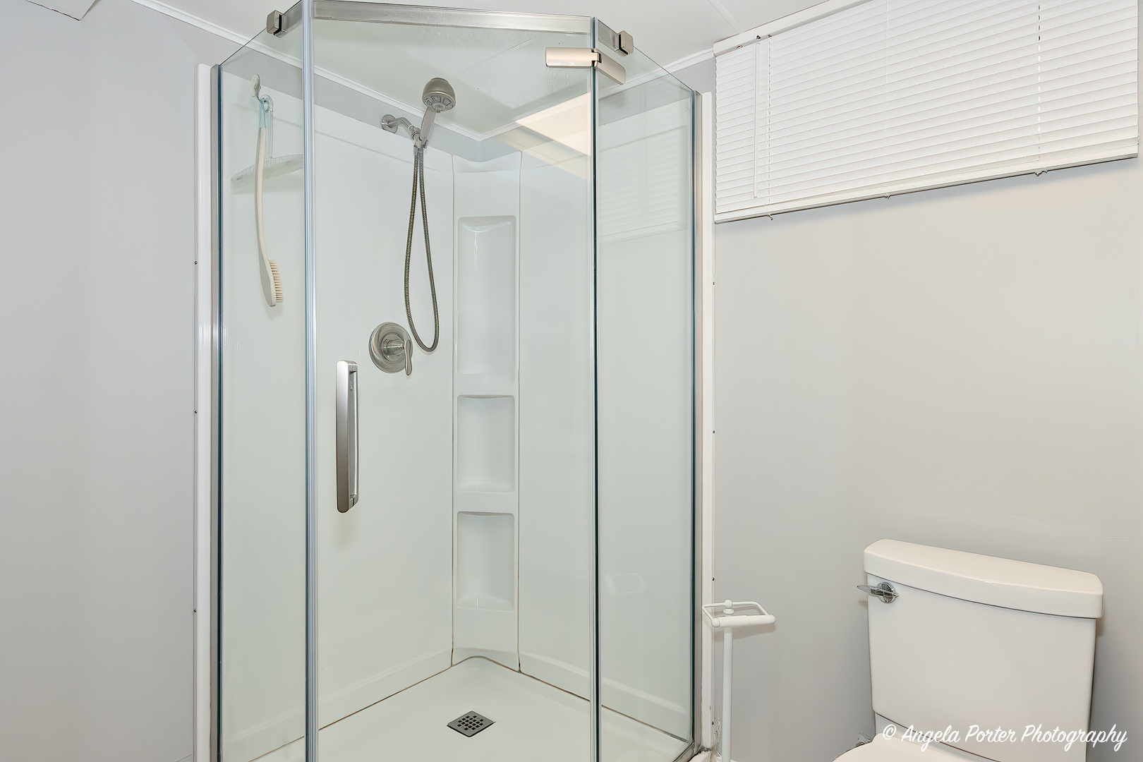 40 Pine Tree Row Lake Zurich, IL 60047 - Photo 20 of 31 a bathroom with a shower and toilet