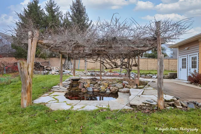 a view of a park with large trees