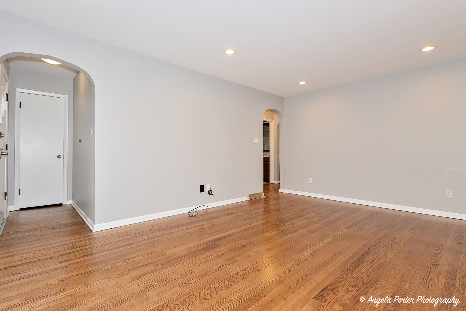 40 Pine Tree Row Lake Zurich, IL 60047 - Photo 4 of 31 a view of an empty room