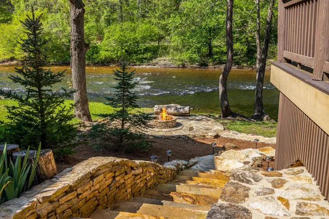 a view of a park with large trees