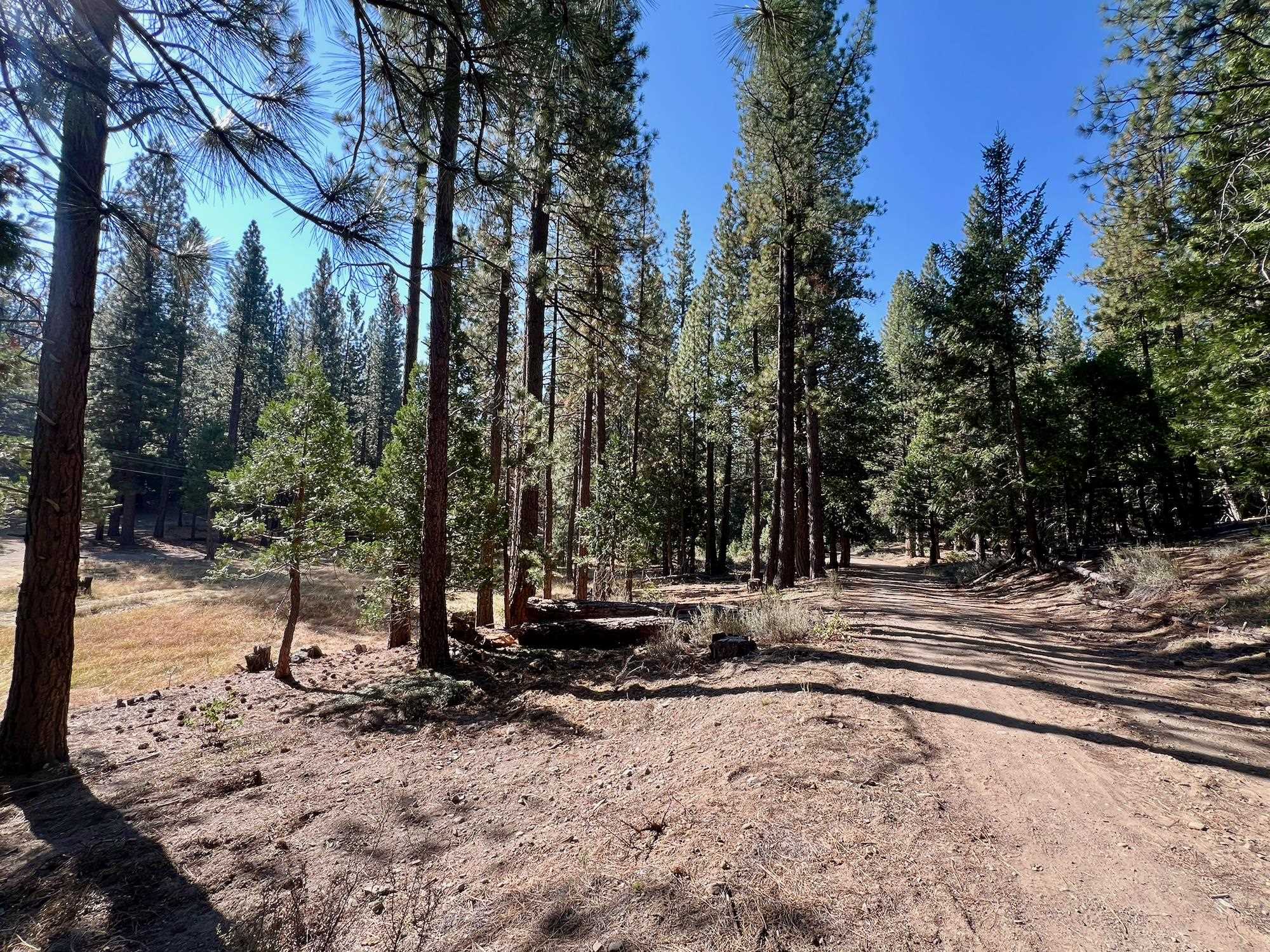 1651 Woodpecker Road Clio, CA 96106 - Photo 13 of 50 Gallery Image 13