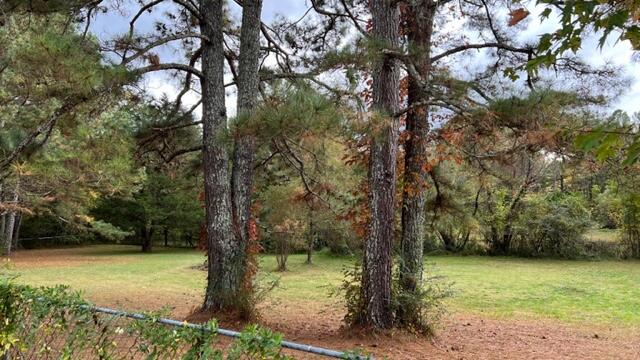 325 Lamar Lawson Road Cleveland, TN 37323 - Photo 14 of 43 IMG_7884