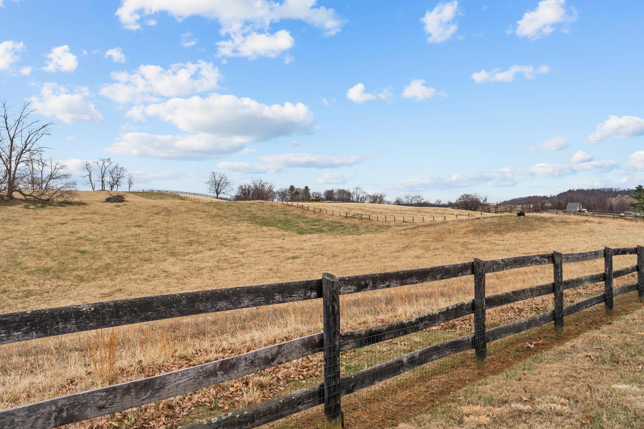 94 Old Hollow Road Sperryville, VA 22740 - Photo 31 of 38 Serene countryside with rustic charm.