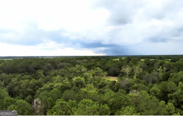 $139,000 | 1068 Highway 39, Donalsonville, GA 39845