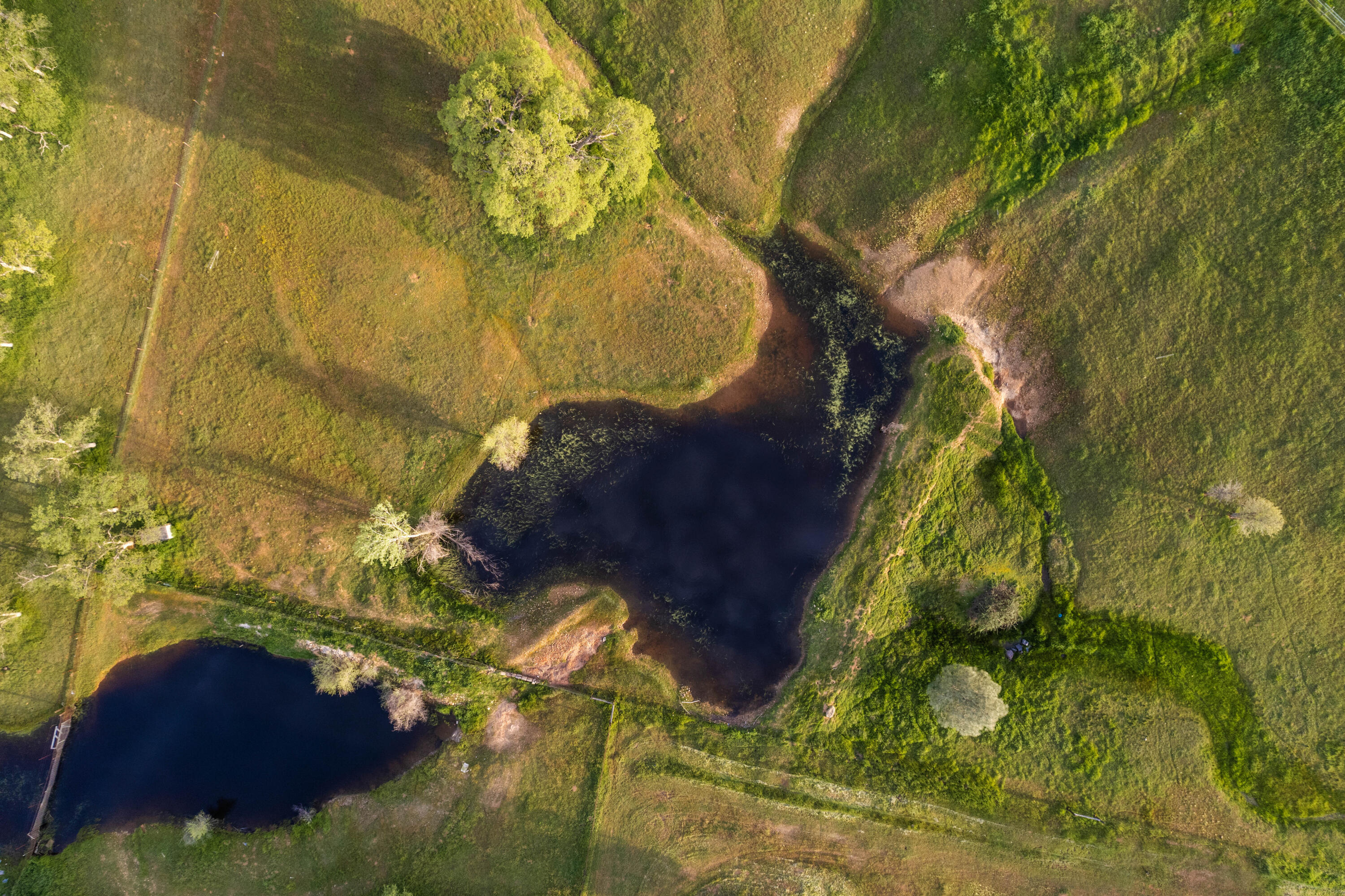 7457 Sprig Way Anderson, CA 96007 - Photo 44 of 50 Seasonal Pond
