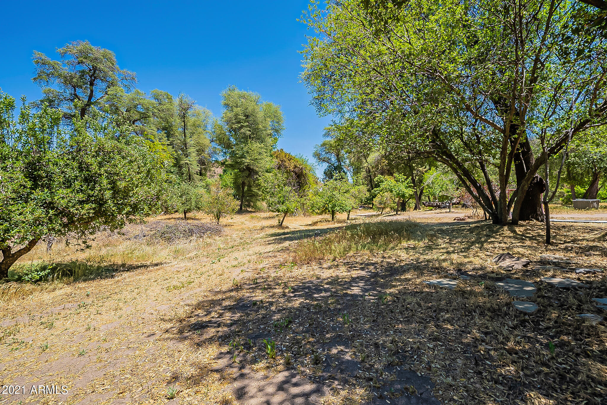 51196 North Apple Valley Road Miami, AZ 85539 - Photo 65 of 115 Apple Valley-50