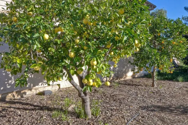 $1,577,777 | 28521 Gladstone Court, Escondido, CA 92026