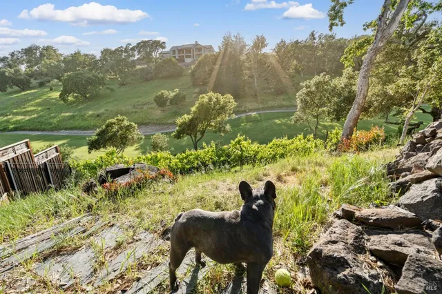 $11,000 | 3727 Lakebriar Place, Santa Rosa, CA 95403