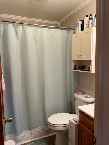 a bathroom with a sink a toilet and shower curtain