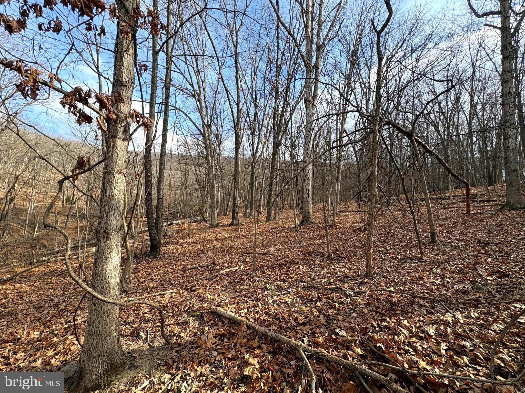 16 Rolling Acres Road Old Fields, WV 26845 - Photo 7 of 23