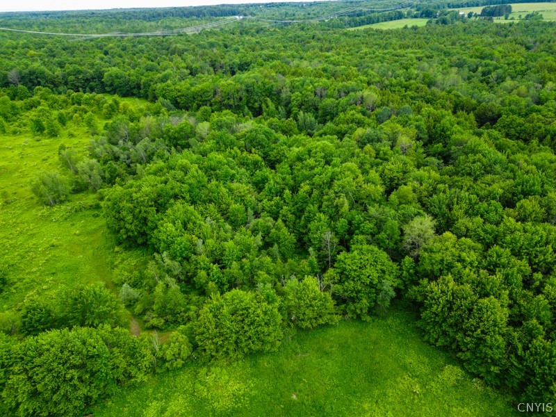 8031 Benson Road Floyd, NY 13354 - Photo 32 of 33