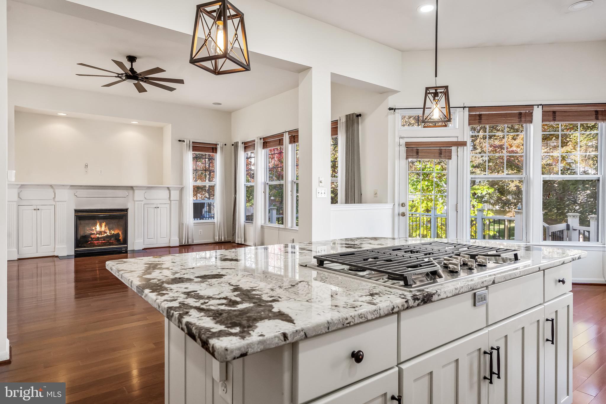 41980 Ural Drive Aldie, VA 20105 - Photo 11 of 56