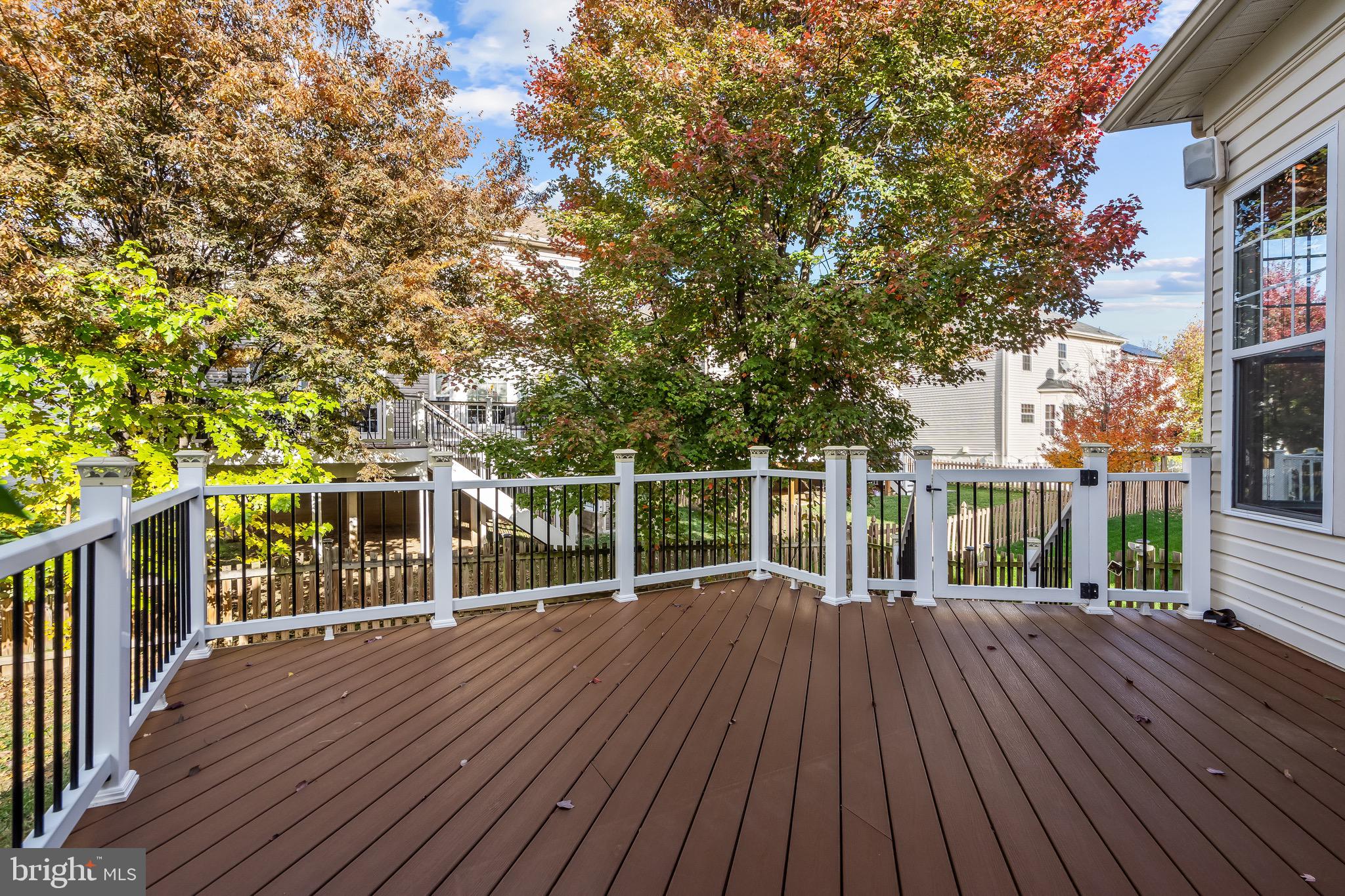 41980 Ural Drive Aldie, VA 20105 - Photo 4 of 56