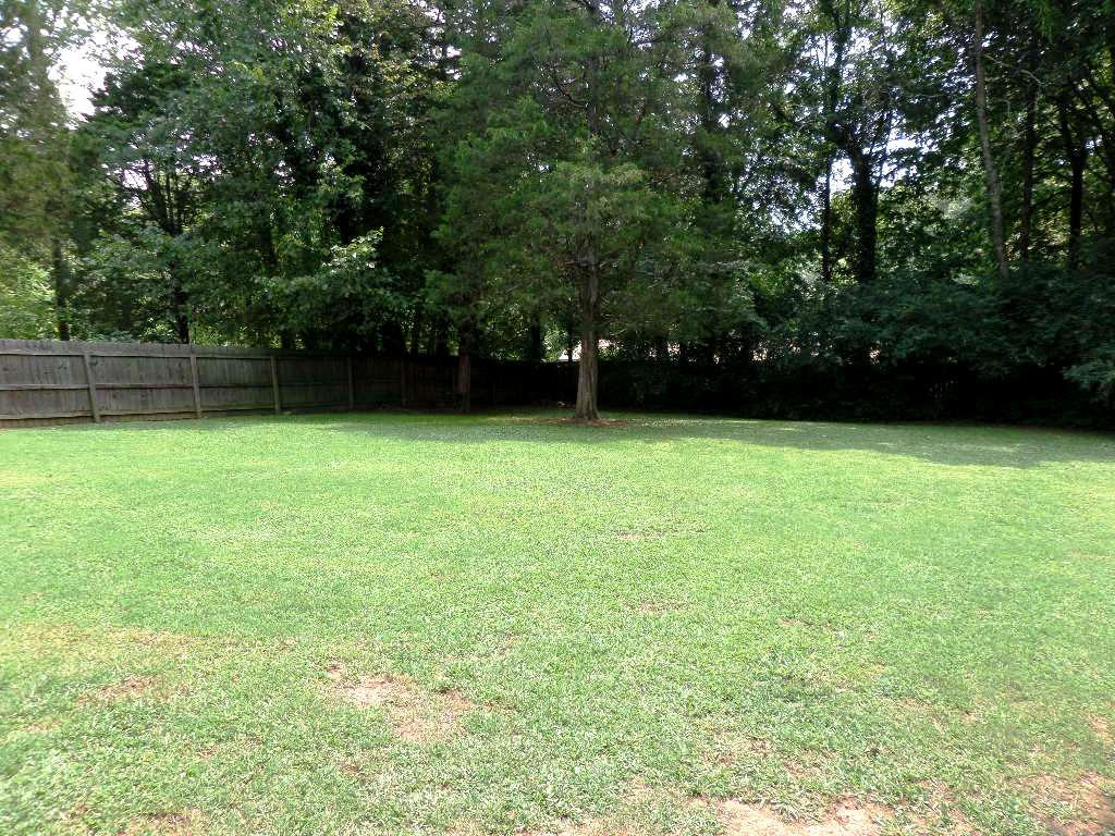 122 Cumberland View Drive Oak Ridge, TN 37830 - Photo 30 of 34 Back Yard 2