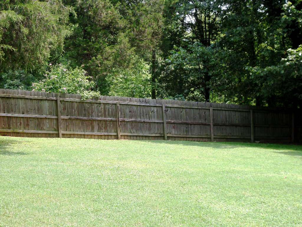 122 Cumberland View Drive Oak Ridge, TN 37830 - Photo 31 of 34 Back Yard 3