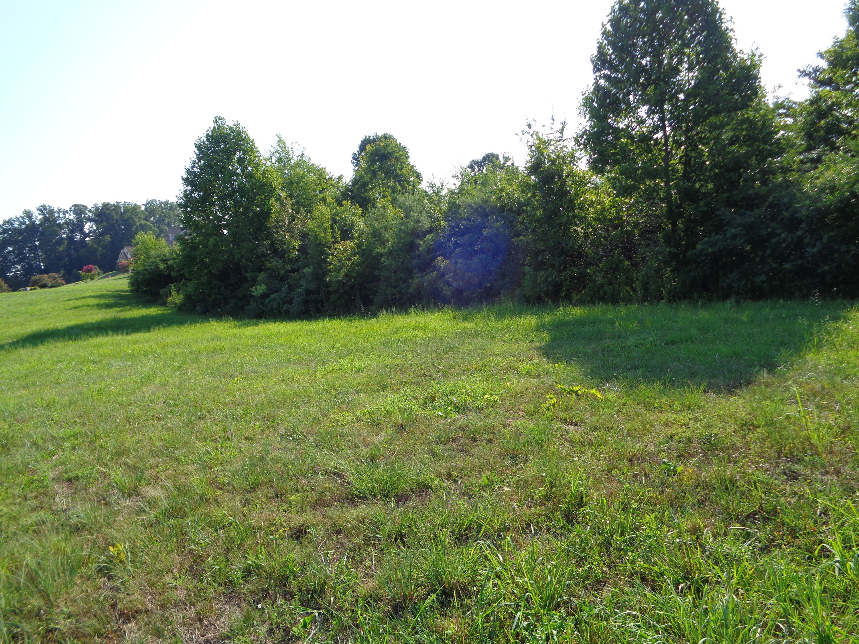 1167 Houston Springs Road Greenback, TN 37742 - Photo 1 of 8 1167 Houston Srings