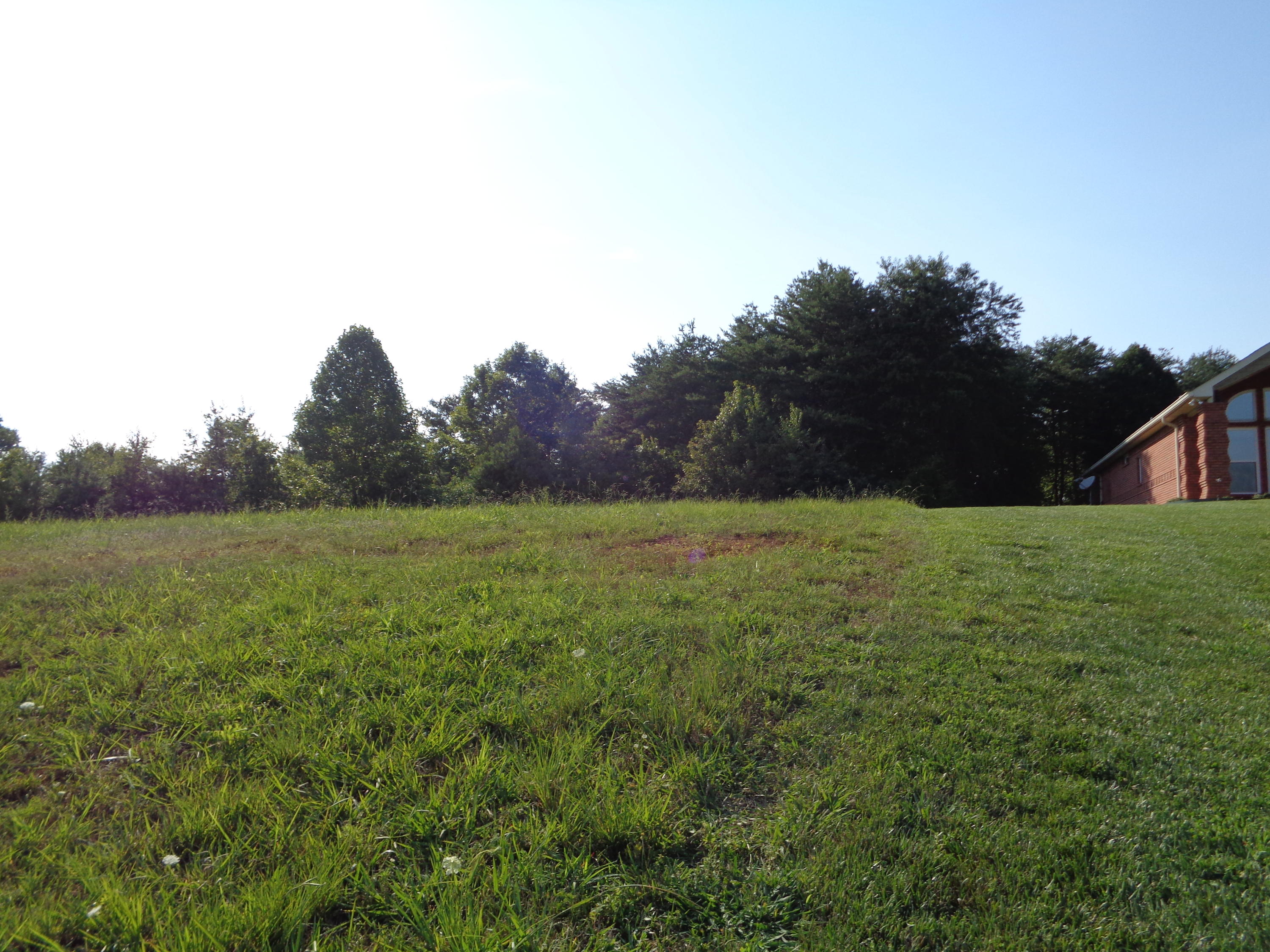 1167 Houston Springs Road Greenback, TN 37742 - Photo 3 of 8 lot
