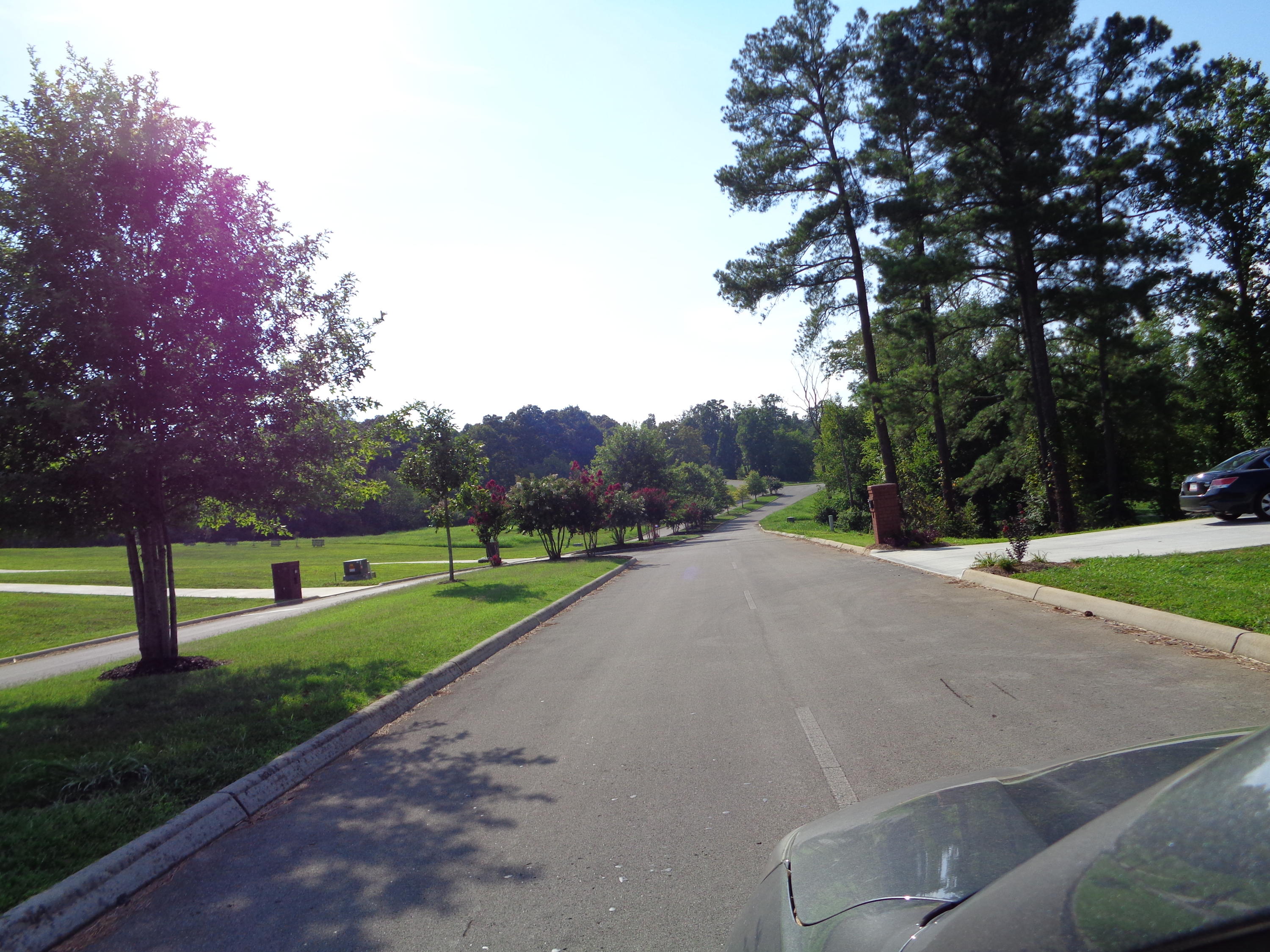 1167 Houston Springs Road Greenback, TN 37742 - Photo 5 of 8 entry drive