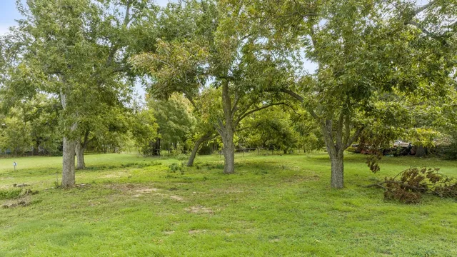 a view of a yard with plants
