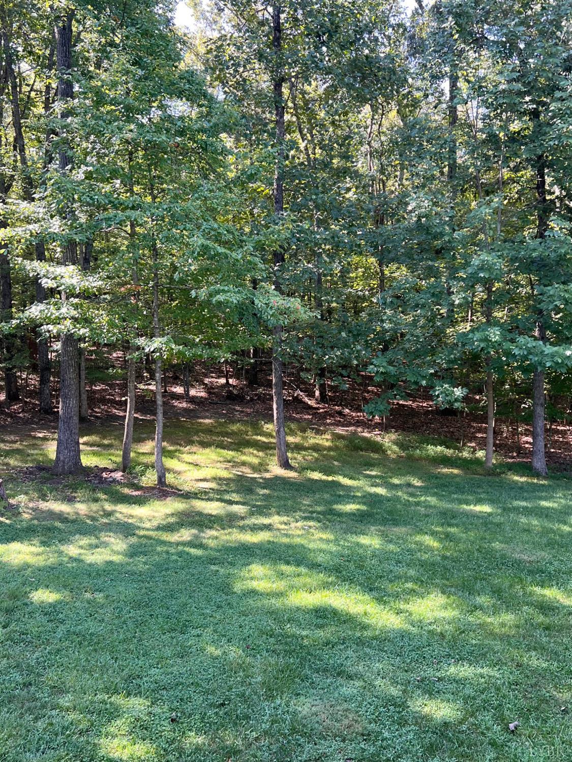 687 Partridge Creek Road Amherst, VA 24521 - Photo 44 of 47 Gallery Image 44