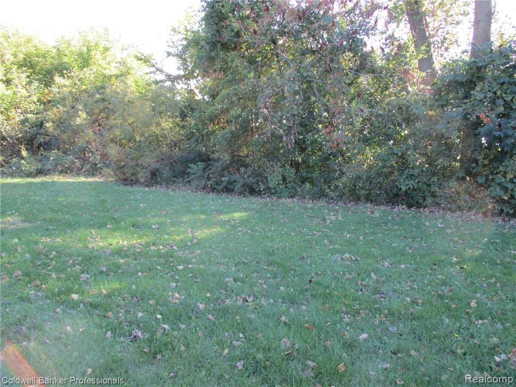 5154 South Byron Road Durand, MI 48429 - Photo 47 of 56 47 SOUTH YARD.JPG