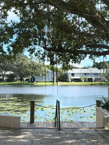 a view of a park that has a tree
