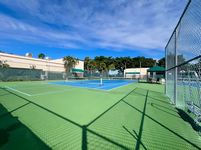 a view of a backyard with potted plants