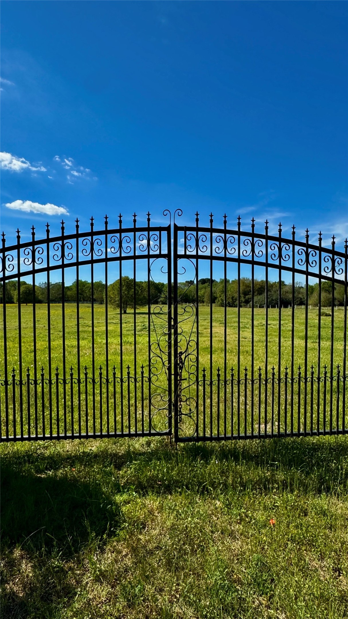 0 Meadow Creek Road Hockley, TX 77447 - Photo 11 of 25 The front gate is already established for your convenience.