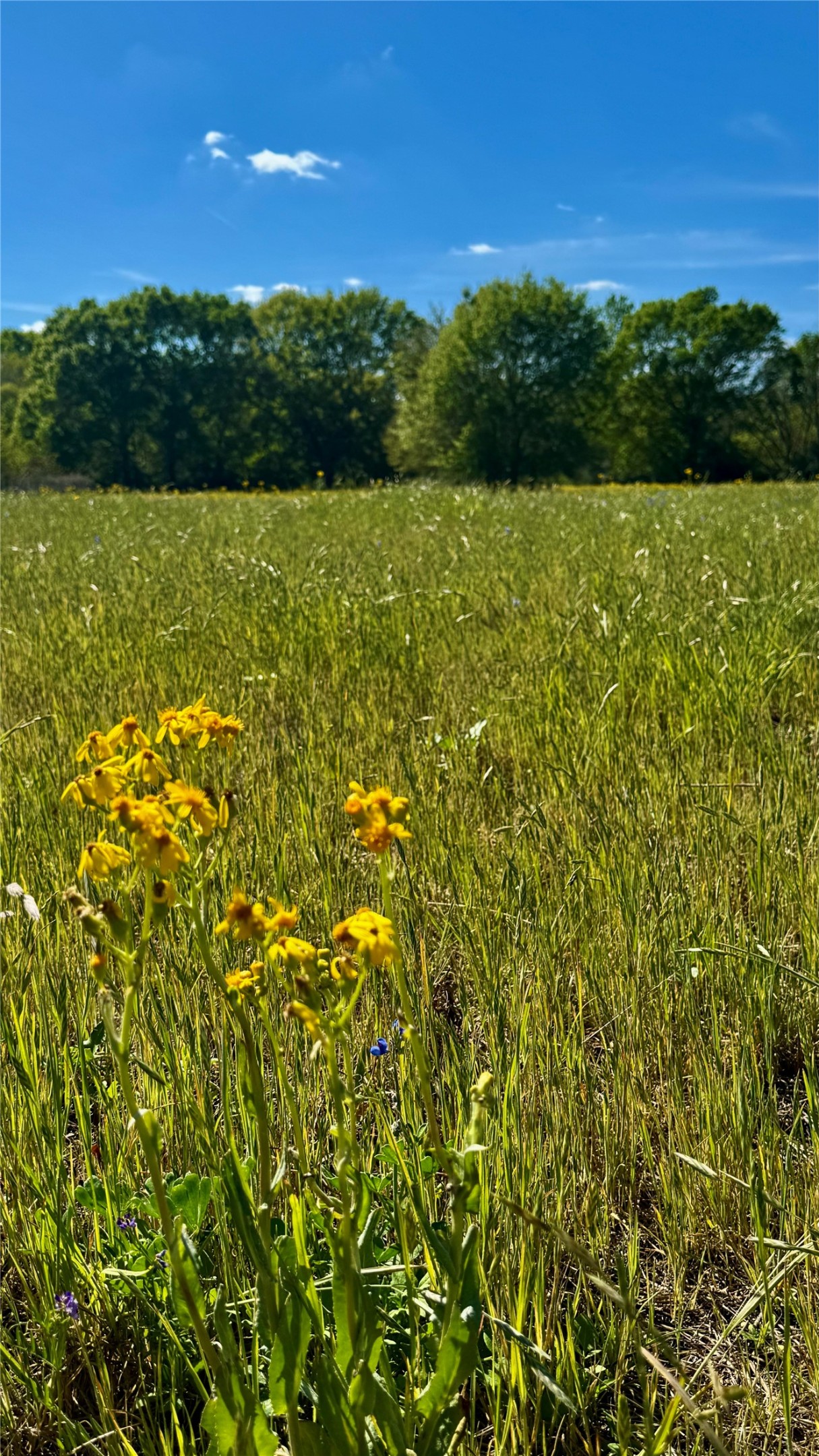 0 Meadow Creek Road Hockley, TX 77447 - Photo 14 of 25 a view of an outdoor space and a lake view