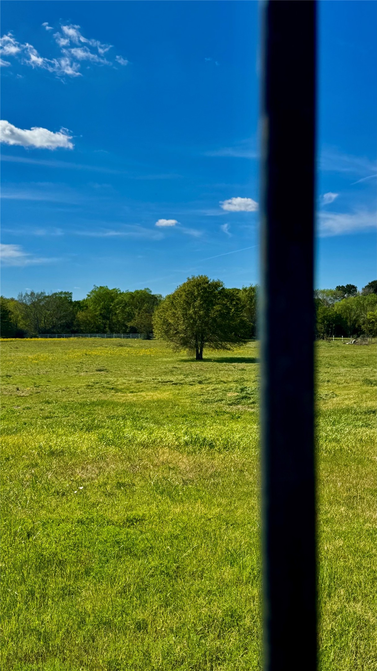 0 Meadow Creek Road Hockley, TX 77447 - Photo 15 of 25 a view of yard from a window