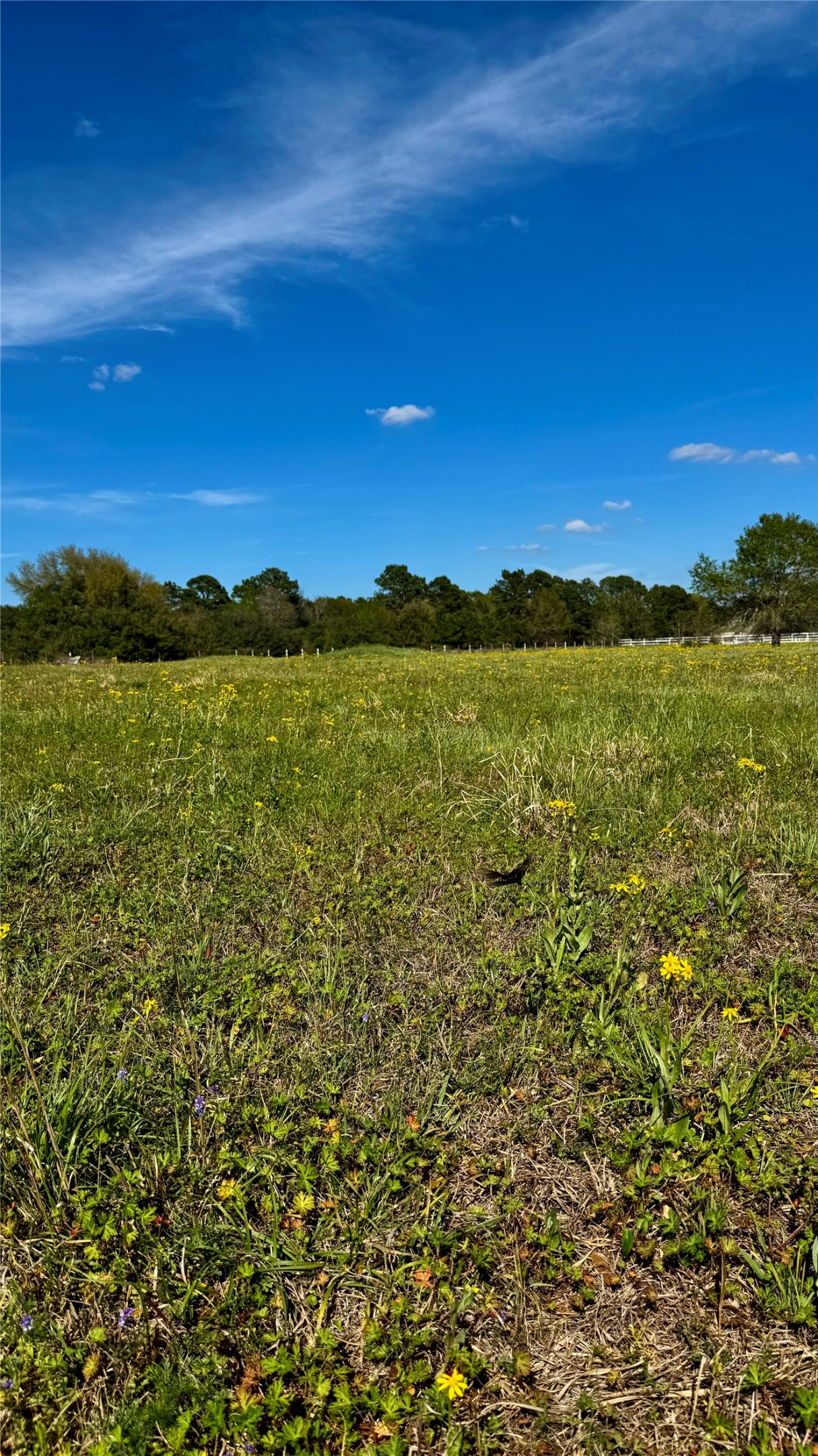 0 Meadow Creek Road Hockley, TX 77447 - Photo 18 of 25 a view of lake and mountain