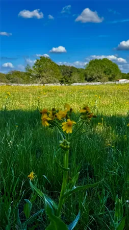 $289,000 | 0 Meadow Creek Road, Hockley, TX 77447