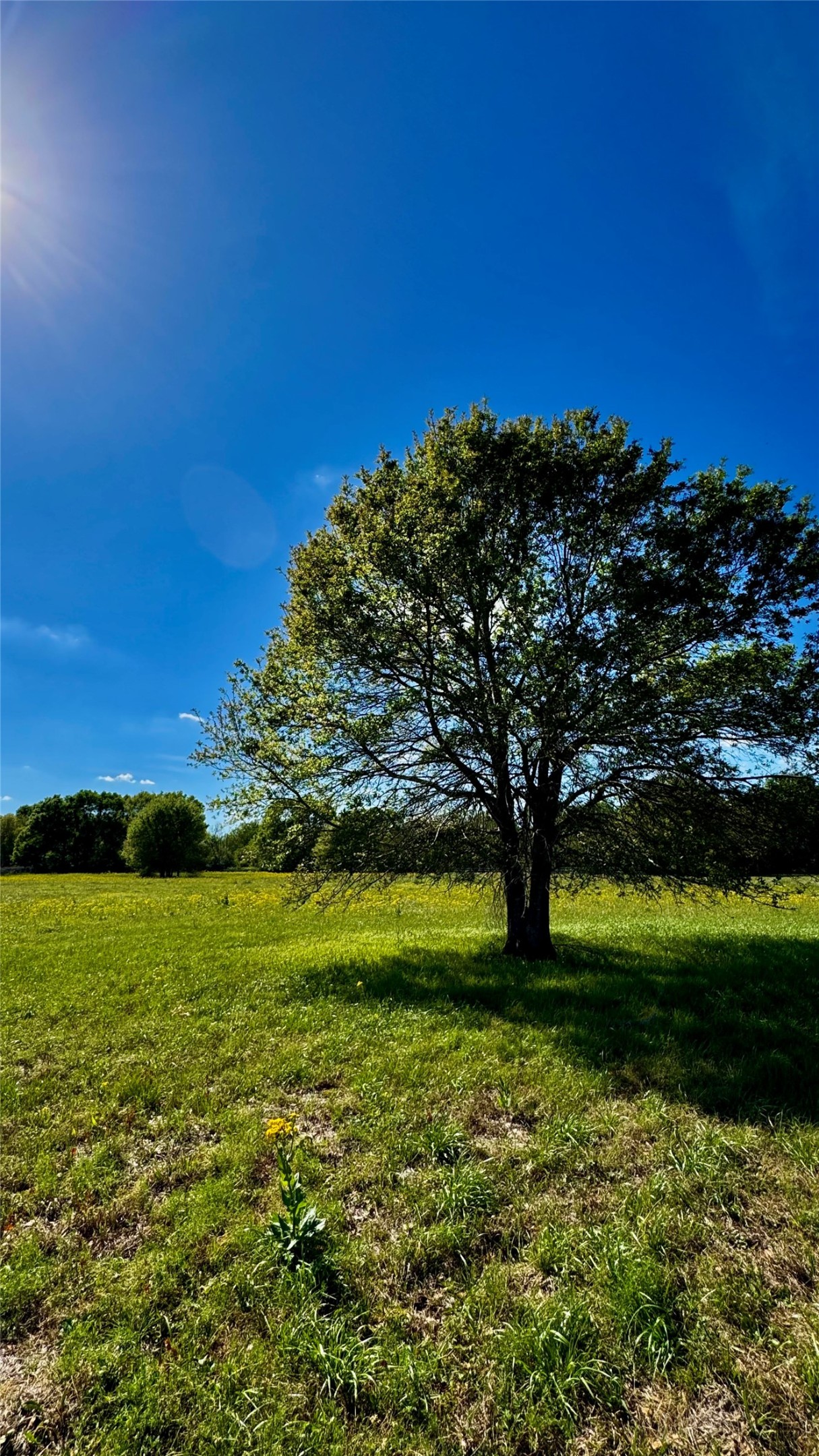 0 Meadow Creek Road Hockley, TX 77447 - Photo 5 of 25 a view of outdoor space with mountain view