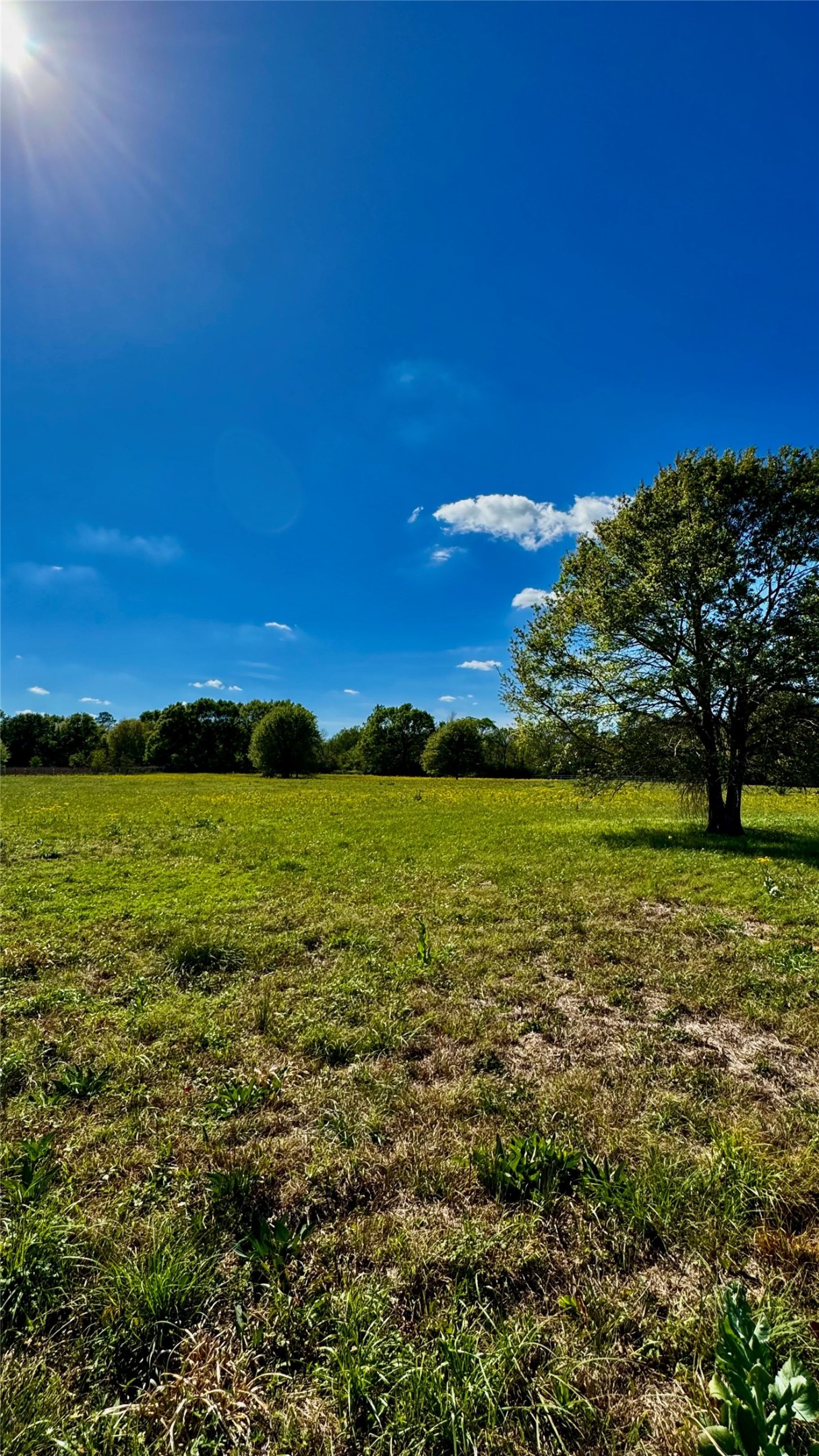 0 Meadow Creek Road Hockley, TX 77447 - Photo 6 of 25 a view of an ocean with a building in the background