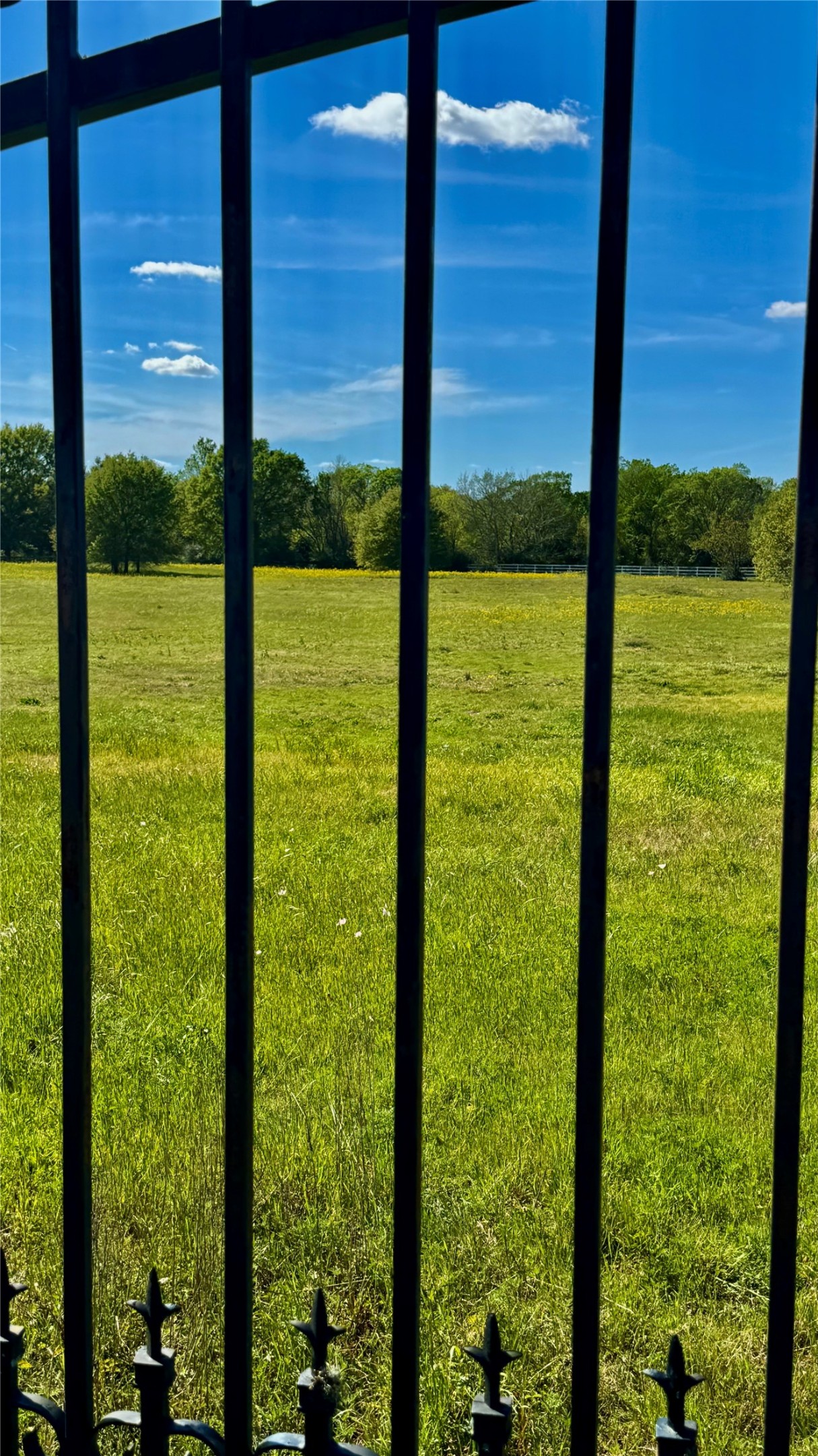 0 Meadow Creek Road Hockley, TX 77447 - Photo 7 of 18 Even looking through the front gate, the vistas are beautiful.