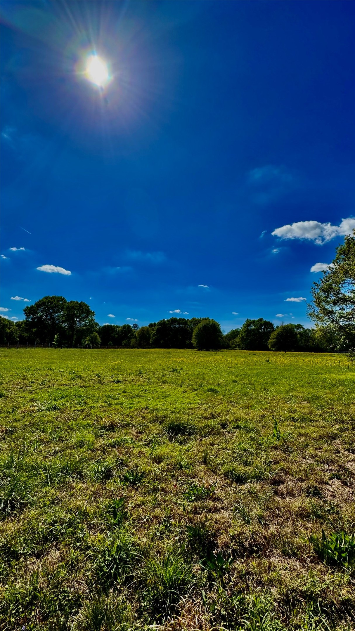 0 Meadow Creek Road Hockley, TX 77447 - Photo 7 of 25 a view of an ocean from a yard