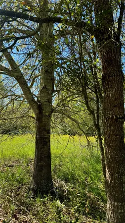 $289,000 | 0 Meadow Creek Road, Hockley, TX 77447