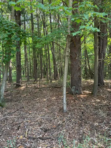 $275,000 | Vl 3rd Avenue, Pentwater, MI 49449