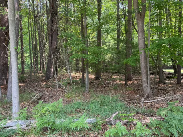 $275,000 | Vl 3rd Avenue, Pentwater, MI 49449