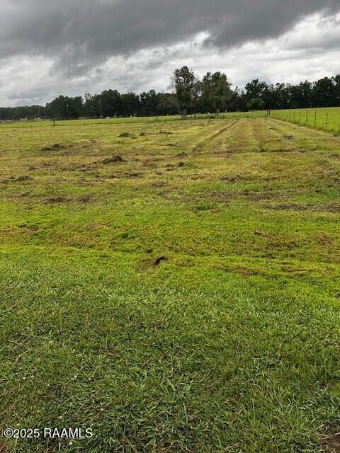 Tbd Bearb Road Sunset, LA 70584 - Photo 1 of 5 TBD Bearb Photo