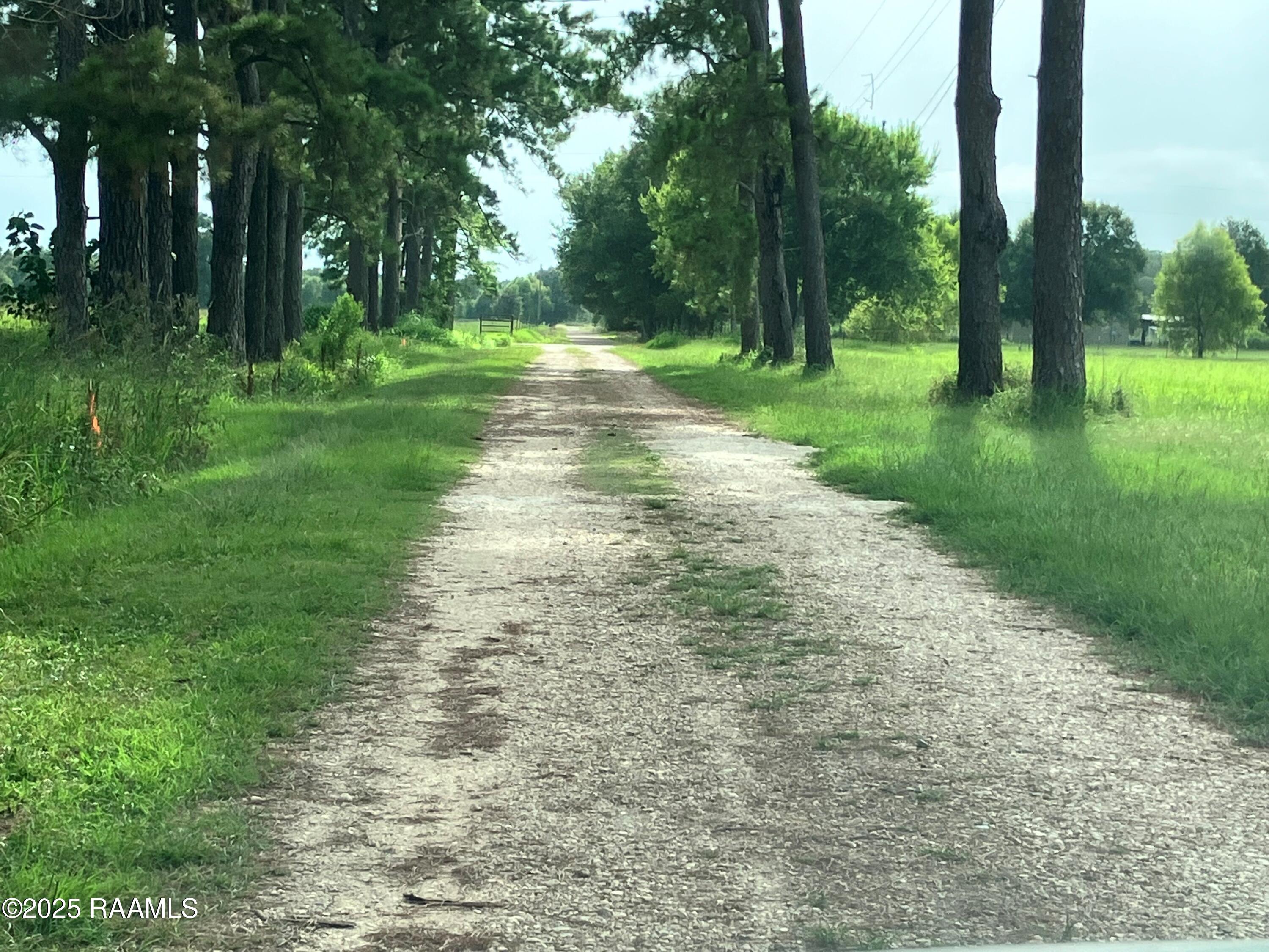 Tbd Bearb Road Sunset, LA 70584 - Photo 2 of 5 TBD Bearb Photo2