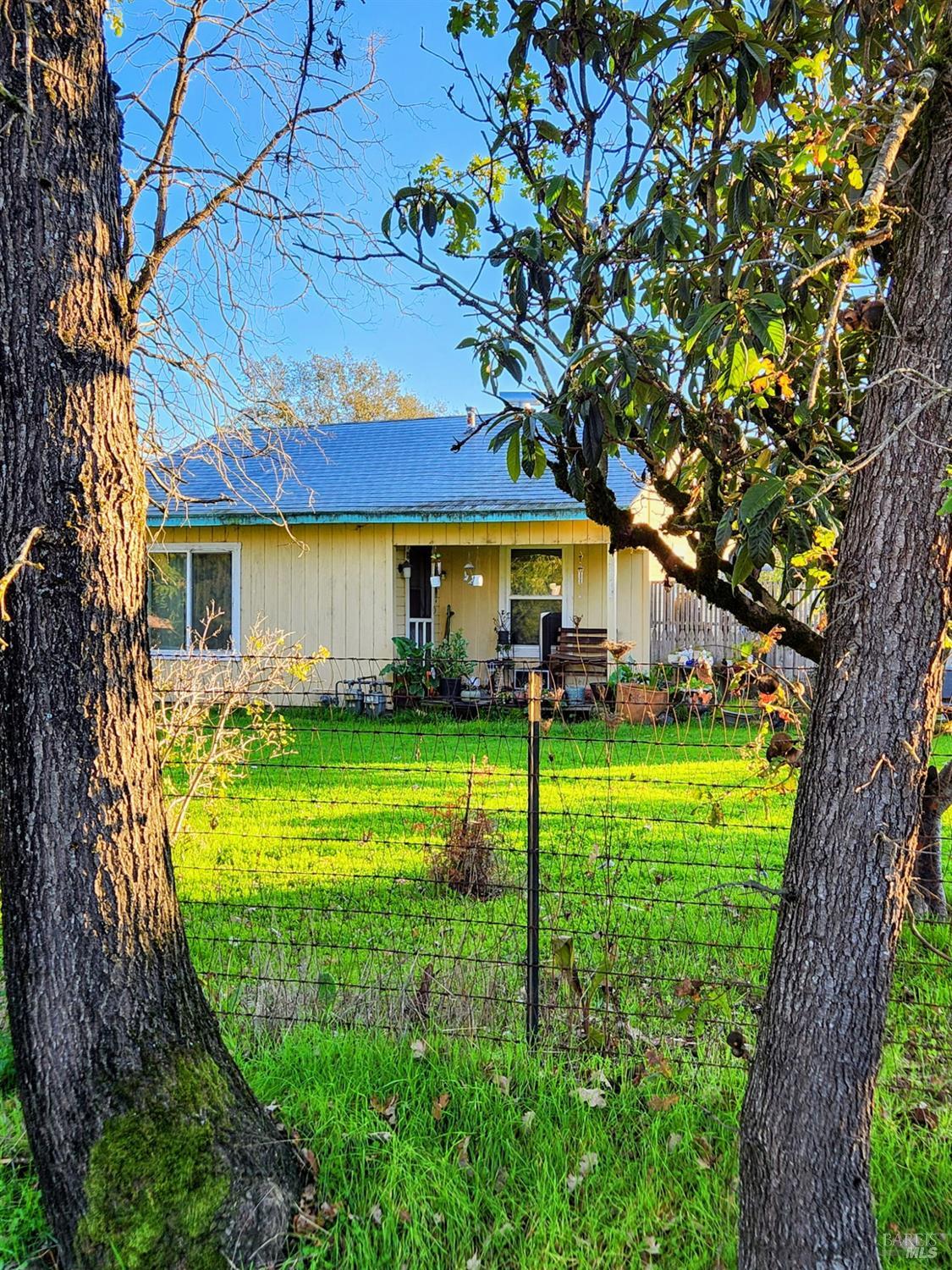 3988 Pyle Avenue Santa Rosa, CA 95407 - Photo 4 of 12 a view of a house with a big yard plants and large trees