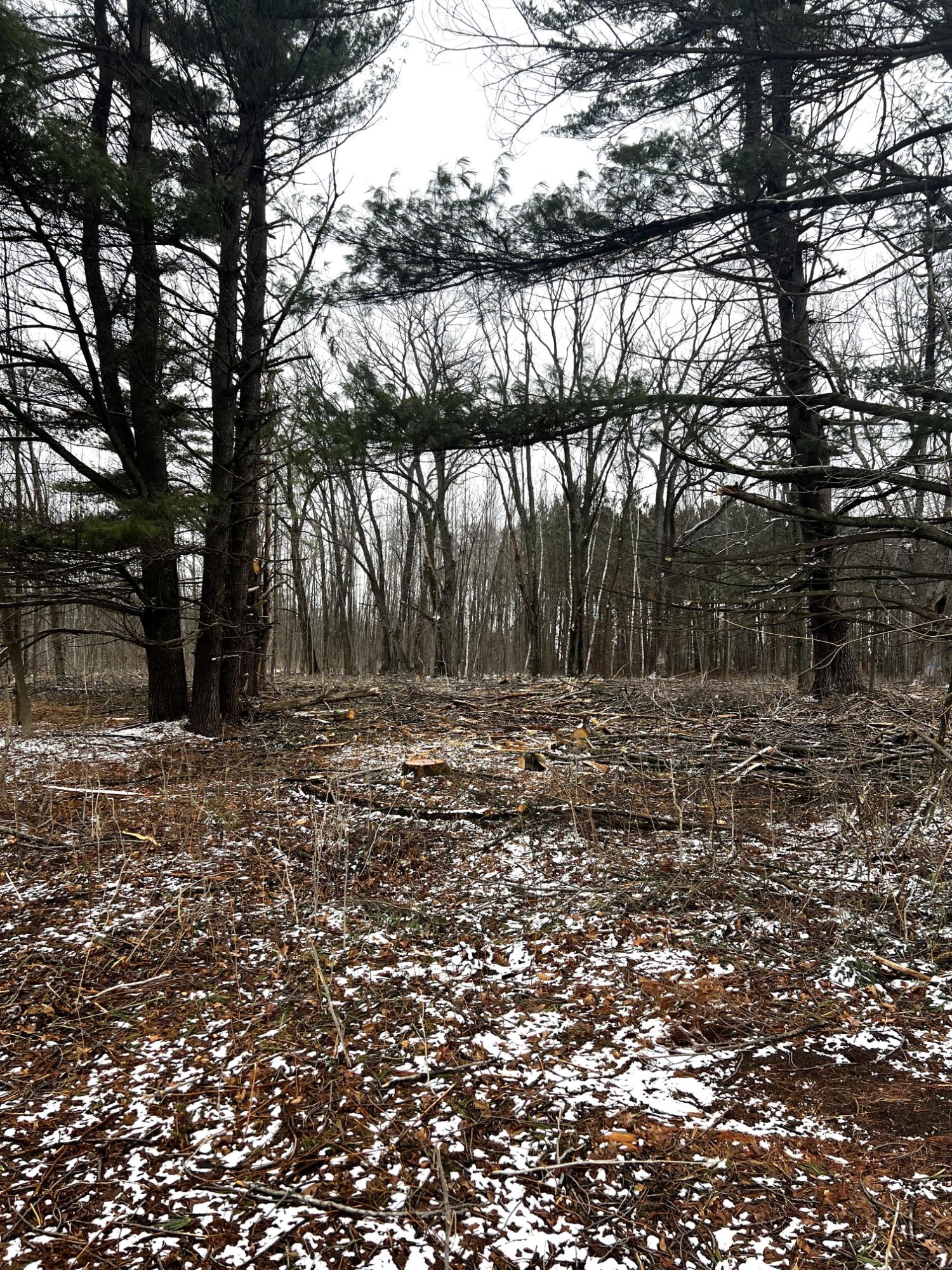 On Mount Vista Road Mosinee, WI 54455 - Photo 6 of 16