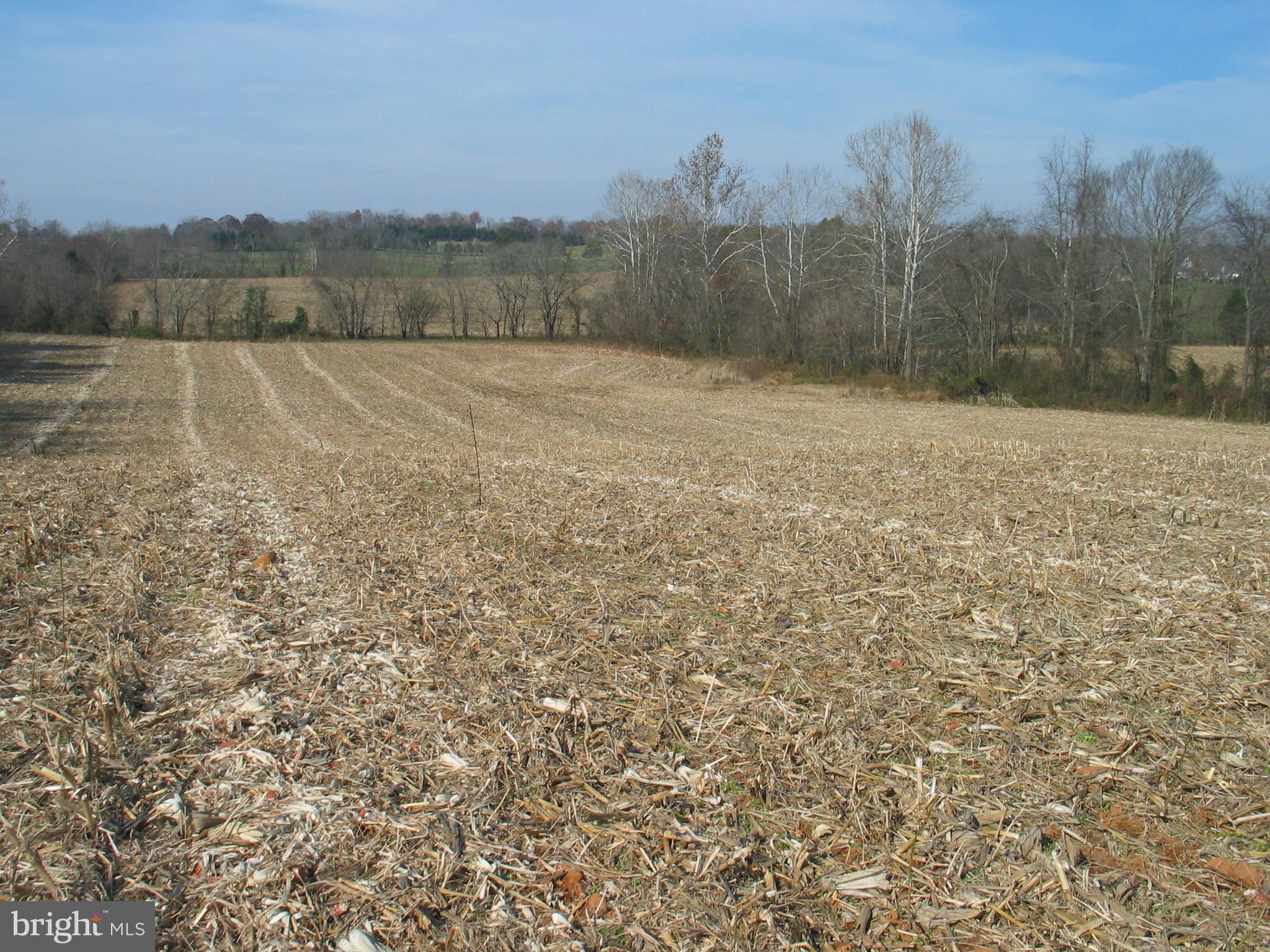 Freemans Ford Road Remington, VA 22734 - Photo 2 of 4 Exterior (General)