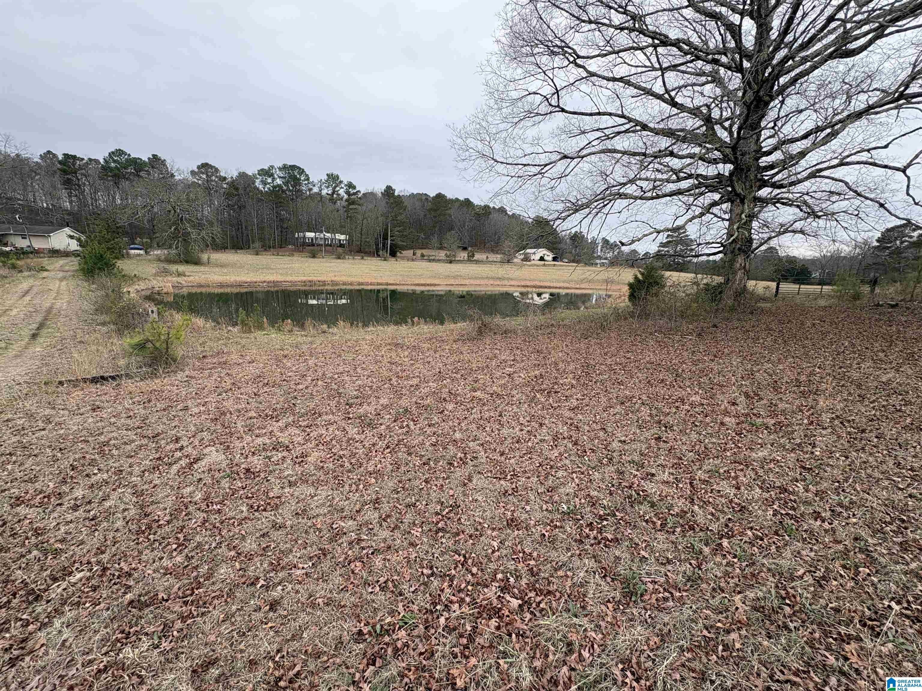 3349 Nail Road, Unit 40 6 ACRES / Warrior, AL 35180 - Photo 7 of 16