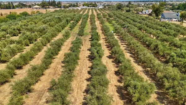 a view of a yard