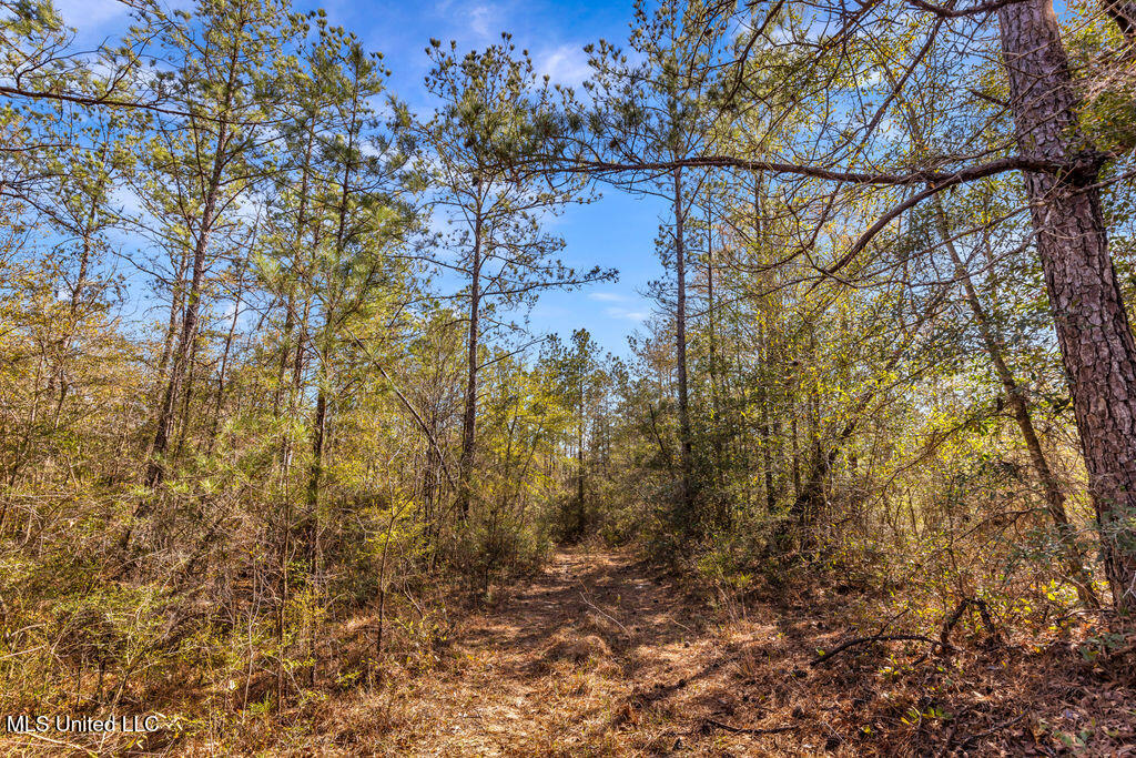 Scott Road Lucedale, MS 39452 - Photo 21 of 30 1000037751
