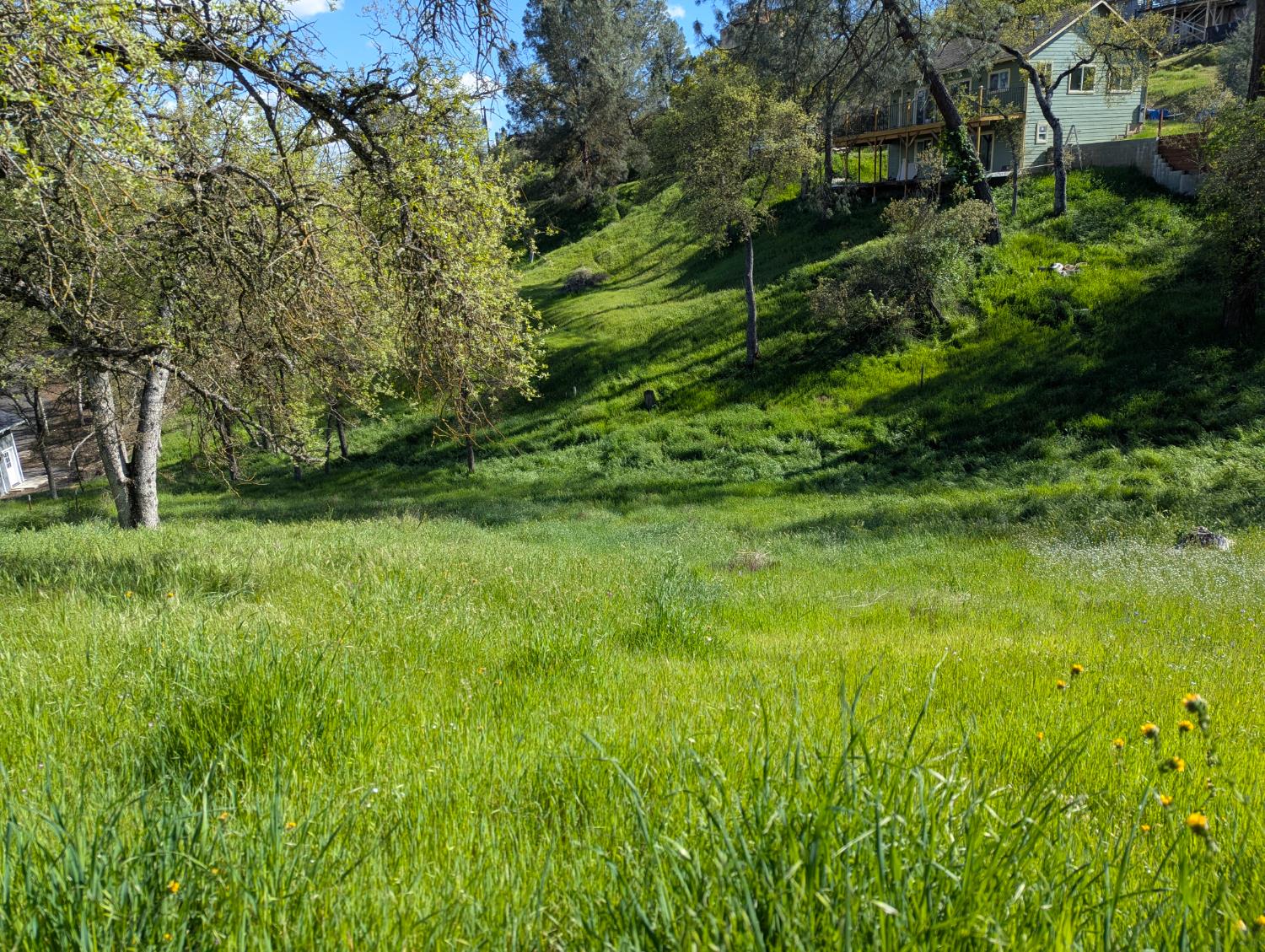4314 Edgewater Court Copperopolis, CA 95228 - Photo 2 of 13 a view of a garden