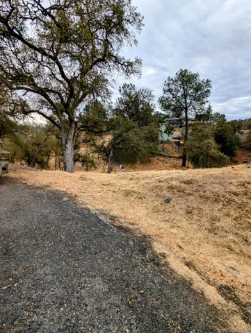 a view of dirt yard with a large tree